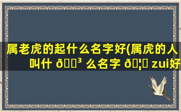 属老虎的起什么名字好(属虎的人叫什 🐳 么名字 🦁 zui
好)